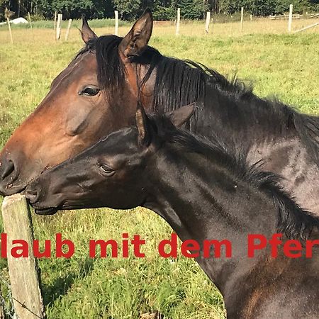 Hardtmuehle Momberg Exterior foto